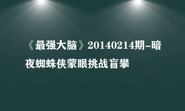 《最强大脑》20140214期-暗夜蜘蛛侠蒙眼挑战盲攀