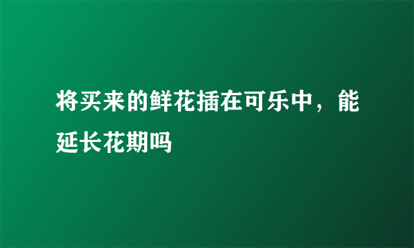 将买来的鲜花插在可乐中，能延长花期吗