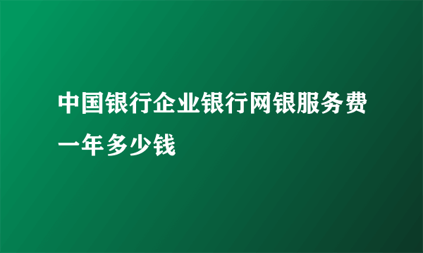 中国银行企业银行网银服务费一年多少钱