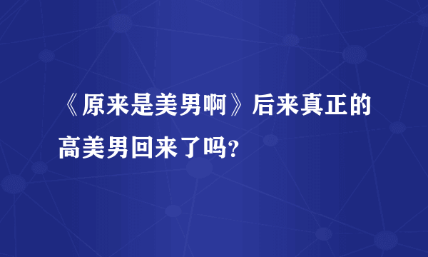 《原来是美男啊》后来真正的高美男回来了吗？