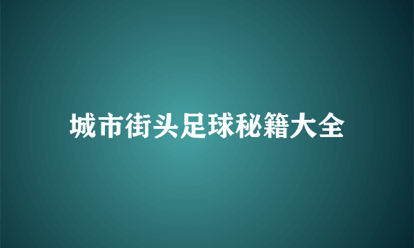 城市街头足球秘籍大全