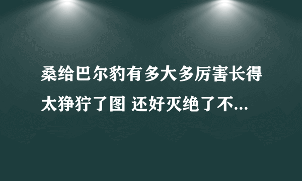 桑给巴尔豹有多大多厉害长得太狰狞了图 还好灭绝了不然人类惨了