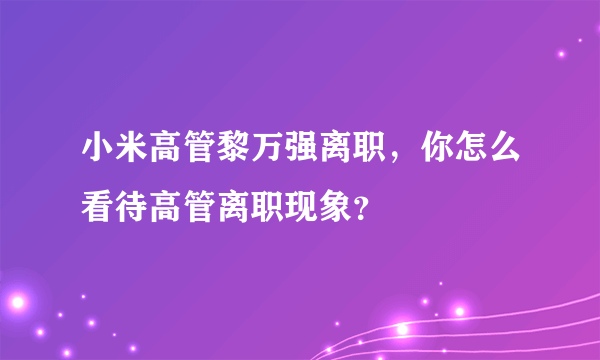 小米高管黎万强离职，你怎么看待高管离职现象？