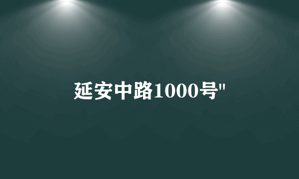 延安中路1000号