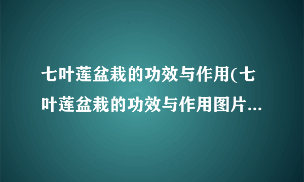 七叶莲盆栽的功效与作用(七叶莲盆栽的功效与作用图片)-飞外