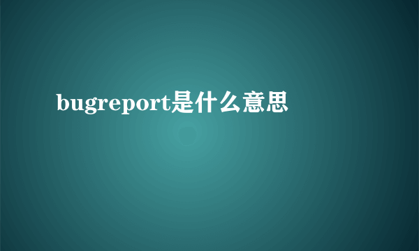 bugreport是什么意思