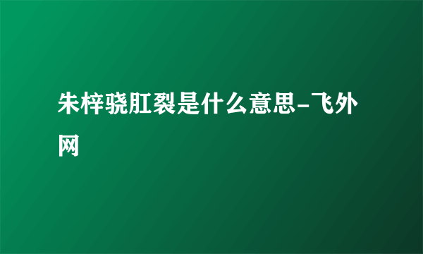 朱梓骁肛裂是什么意思-飞外网