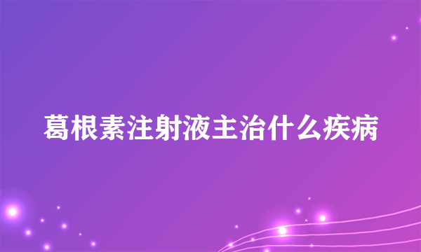 葛根素注射液主治什么疾病