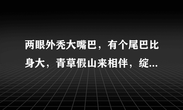 两眼外秃大嘴巴，有个尾巴比身大，青草假山来相伴，绽放朵朵大红花。 提示：动物