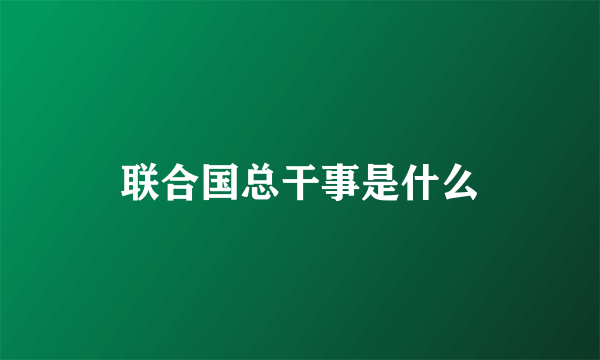 联合国总干事是什么