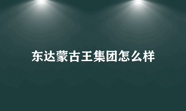 东达蒙古王集团怎么样