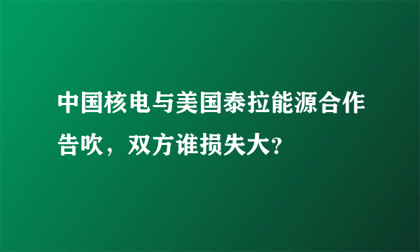 中国核电与美国泰拉能源合作告吹，双方谁损失大？