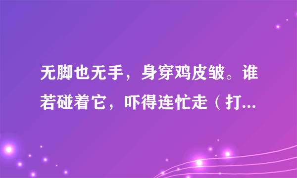 无脚也无手，身穿鸡皮皱。谁若碰着它，吓得连忙走（打一动物名）