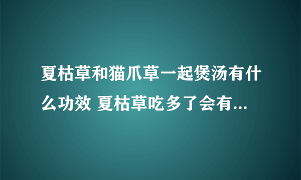 夏枯草和猫爪草一起煲汤有什么功效 夏枯草吃多了会有什么副作用