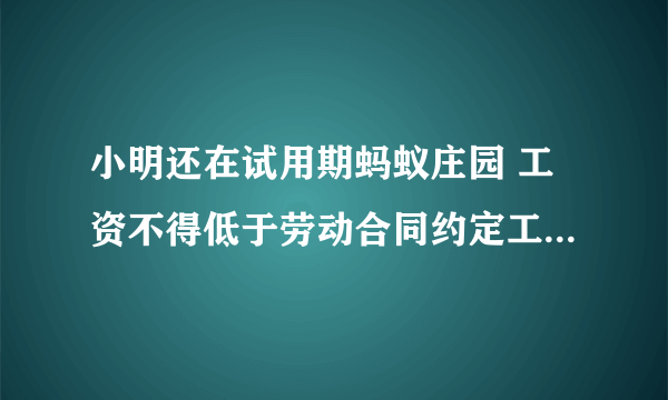 小明还在试用期蚂蚁庄园 工资不得低于劳动合同约定工资的多少1.12