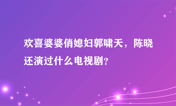 欢喜婆婆俏媳妇郭啸天，陈晓还演过什么电视剧？