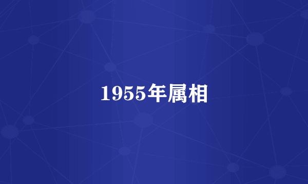 1955年属相