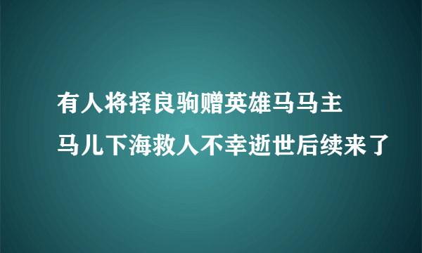 有人将择良驹赠英雄马马主 马儿下海救人不幸逝世后续来了