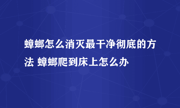 蟑螂怎么消灭最干净彻底的方法 蟑螂爬到床上怎么办