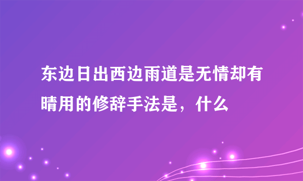 东边日出西边雨道是无情却有晴用的修辞手法是，什么