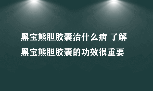 黑宝熊胆胶囊治什么病 了解黑宝熊胆胶囊的功效很重要