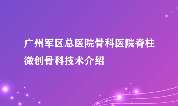 广州军区总医院骨科医院脊柱微创骨科技术介绍