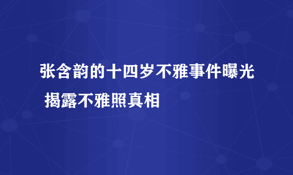 张含韵的十四岁不雅事件曝光 揭露不雅照真相