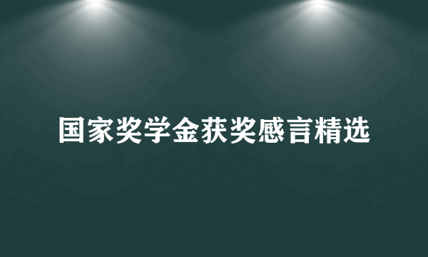 国家奖学金获奖感言精选