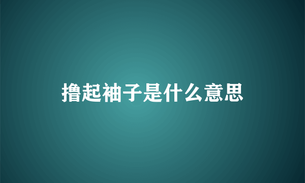 撸起袖子是什么意思