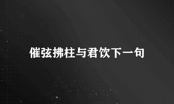 催弦拂柱与君饮下一句