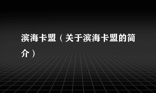 滨海卡盟（关于滨海卡盟的简介）