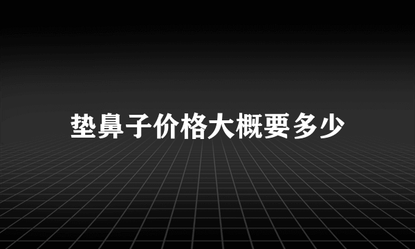 垫鼻子价格大概要多少