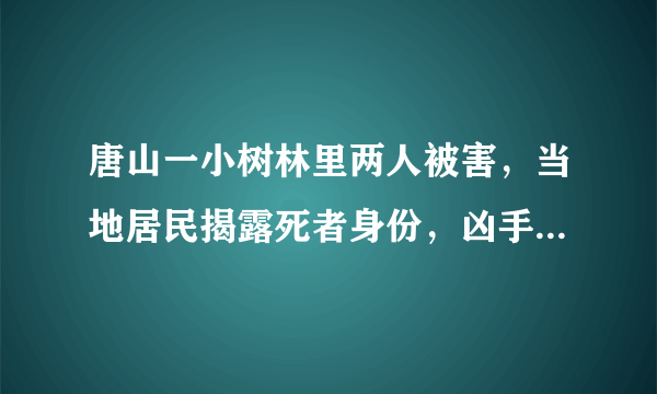 唐山一小树林里两人被害，当地居民揭露死者身份，凶手为何敢顶风作案？