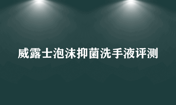 威露士泡沫抑菌洗手液评测