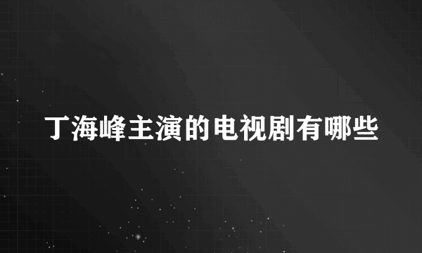 丁海峰主演的电视剧有哪些