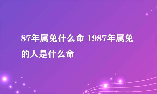 87年属兔什么命 1987年属兔的人是什么命