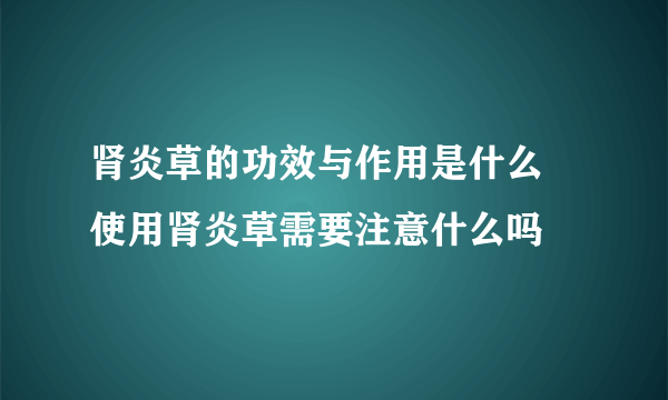 肾炎草的功效与作用是什么 使用肾炎草需要注意什么吗