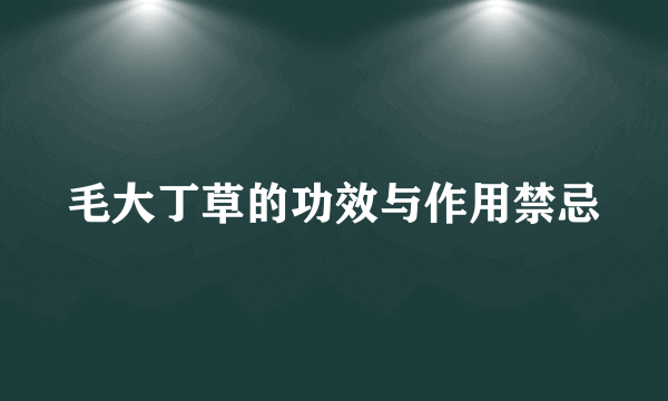 毛大丁草的功效与作用禁忌