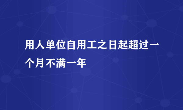 用人单位自用工之日起超过一个月不满一年