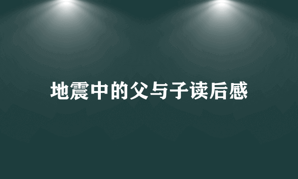 地震中的父与子读后感