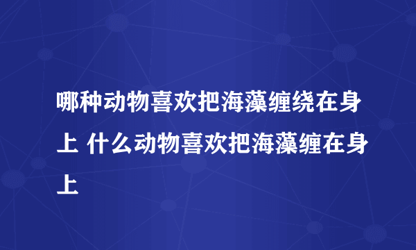 哪种动物喜欢把海藻缠绕在身上 什么动物喜欢把海藻缠在身上