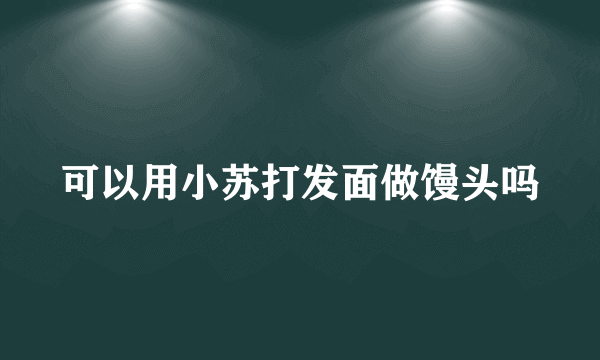 可以用小苏打发面做馒头吗