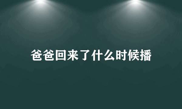 爸爸回来了什么时候播