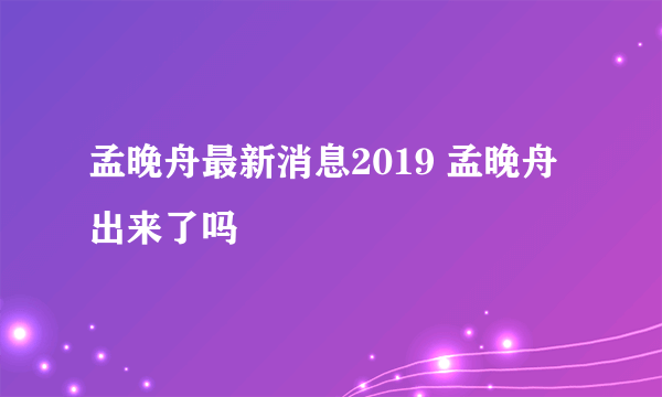 孟晚舟最新消息2019 孟晚舟出来了吗