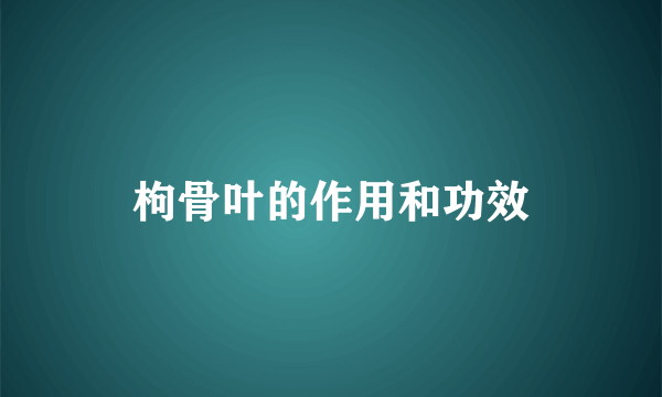 枸骨叶的作用和功效