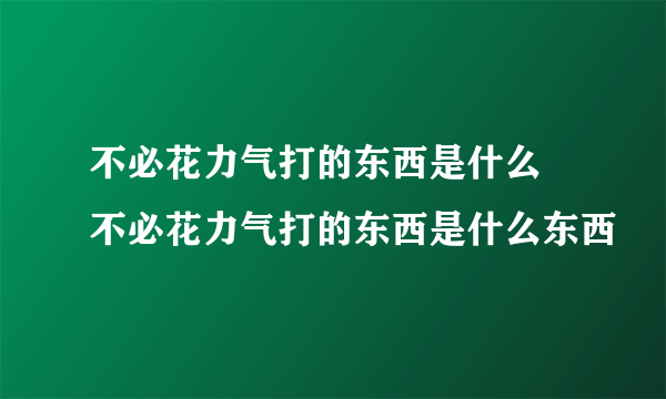 不必花力气打的东西是什么 不必花力气打的东西是什么东西