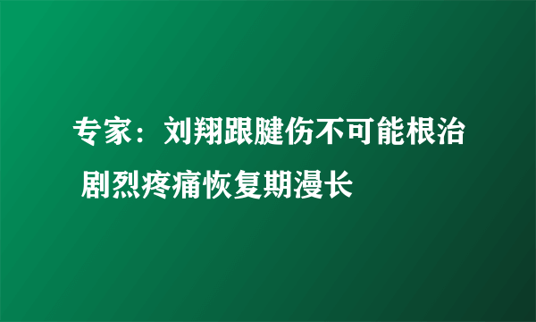 专家：刘翔跟腱伤不可能根治 剧烈疼痛恢复期漫长