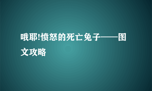 哦耶!愤怒的死亡兔子——图文攻略