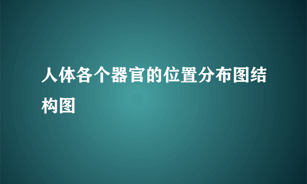 人体各个器官的位置分布图结构图