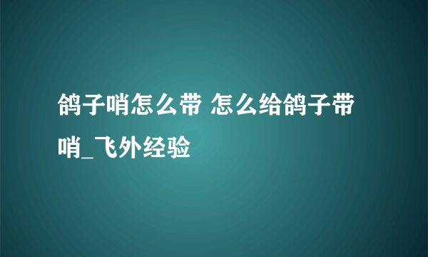 鸽子哨怎么带 怎么给鸽子带哨_飞外经验